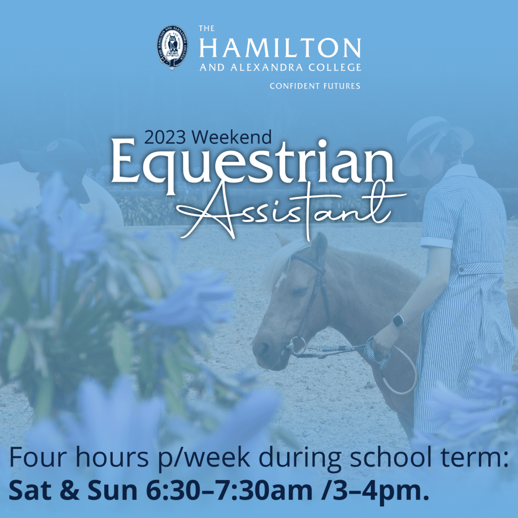 2023 Equestrian job